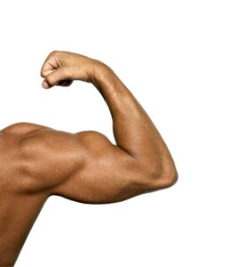 Close up of man's arm showing biceps