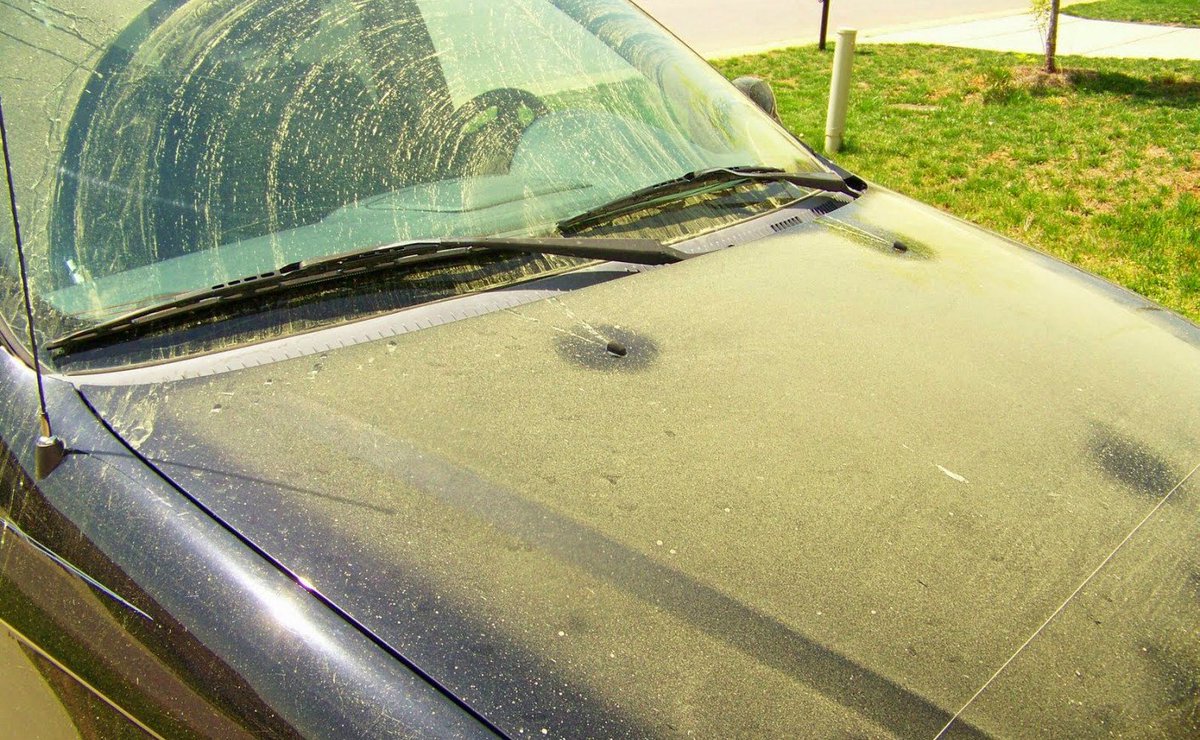 Treating Seasonal Allergies in Florida